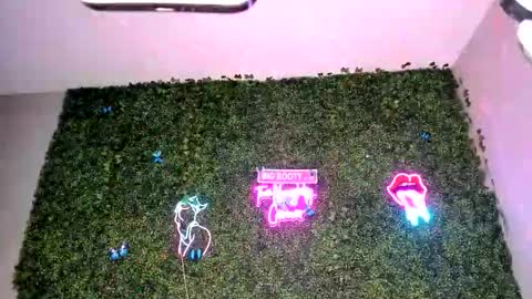 Snapshot of bigbuttsarena chatting on 22, 4, 2026 bigbuttsarena online show from 22, 4, 2026