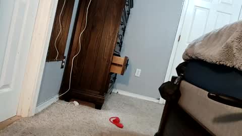 Snapshot of bigcockdaddy247 chatting on 17, 12, 2024 bigcockdaddy247 online show from 17, 12, 2024