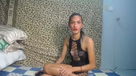 bigcockericats69 online show from 16, 3, 2026