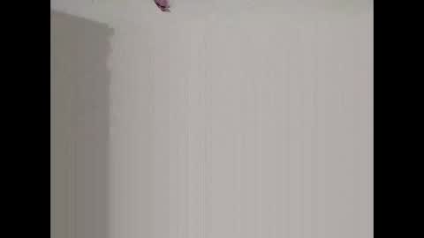 Snapshot of bigd23994 chatting on 29, 3, 2026 bigd23994 online show from 29, 3, 2026