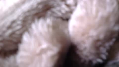 Snapshot of bigdad14140 chatting on 26, 4, 2026 BigDad14140 online show from 26, 4, 2026