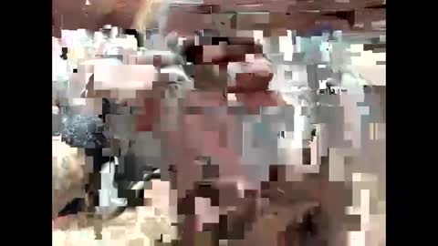 Snapshot of bigdaddy1231995 chatting on 15, 9, 2025 BigDaddykodack online show from 15, 9, 2025