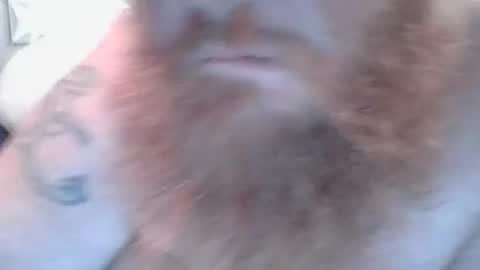 Snapshot of bigdaddy86121 chatting on 4, 8, 2026 bigdaddy86121 online show from 4, 8, 2026
