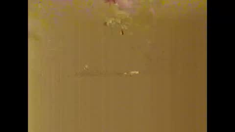 bigdaddydongarlets391292 online show from 17, 10, 2025