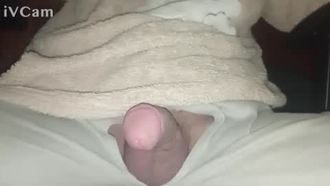 Big online show from 23, 2, 2025