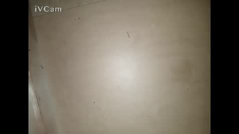 Snapshot of bigdick666cm chatting on 13, 3, 2026 Big online show from 13, 3, 2026