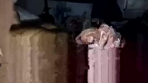 Snapshot of bigdickdaddy7201979564868 chatting on 23, 11, 2025 bigdickdaddy7201979564868 online show from 23, 11, 2025