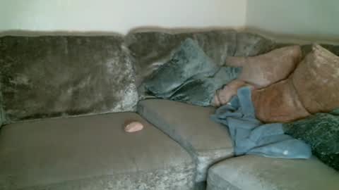 CAJEinc online show from 11, 2, 2025