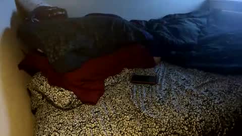 bigdickpapishampoo online show from 8, 11, 2025