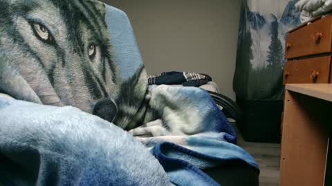 Snapshot of bigdickyduby chatting on 9, 12, 2024 George Forest Dickyduby on all Socials online show from 9, 12, 2024