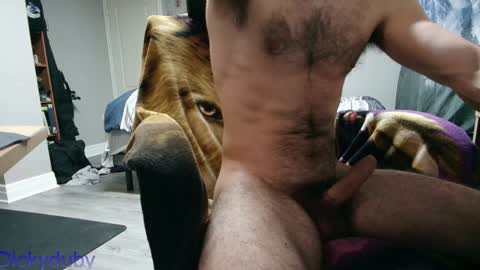 Snapshot of bigdickyduby chatting on 2, 1, 2025 George Forest Dickyduby on all Socials online show from 2, 1, 2025