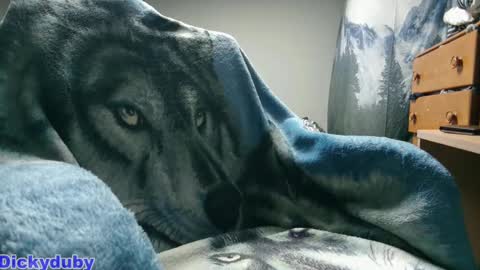 Snapshot of bigdickyduby chatting on 11, 9, 2025 George Forest Dickyduby on all Socials online show from 11, 9, 2025