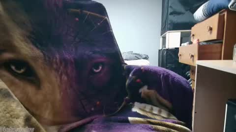 Snapshot of bigdickyduby chatting on 12, 11, 2025 George Forest Dickyduby on all Socials online show from 12, 11, 2025