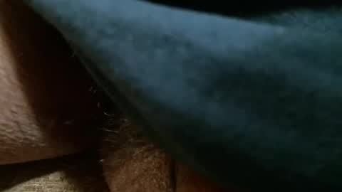 BigDog online show from 9, 3, 2026