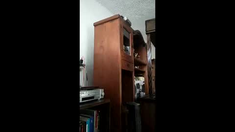 bigfalo58 online show from 20, 12, 2025