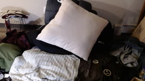 Bigandthick online show from 10, 1, 2025