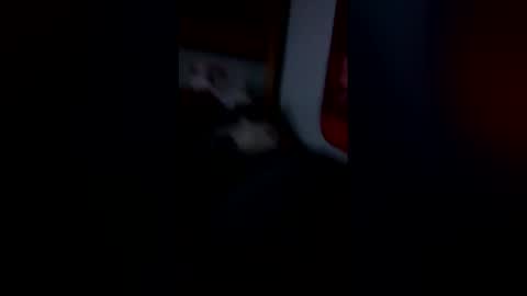 Snapshot of bigguy189613645 chatting on 25, 4, 2026 bigguy189613645 online show from 25, 4, 2026