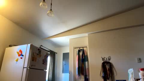 Daniel  Noelia online show from 27, 2, 2025