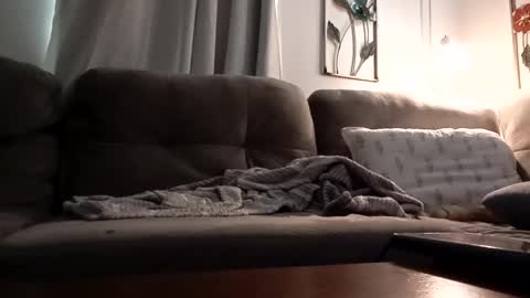 Snapshot of biglk324645168 chatting on 12, 3, 2025 biglk324645168 online show from 12, 3, 2025