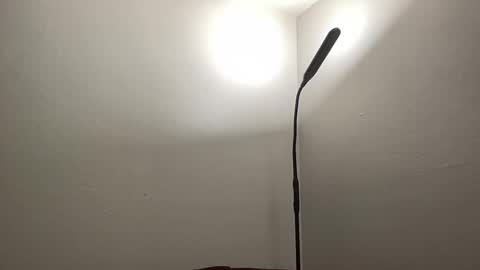 Snapshot of bigmcr1 chatting on 26, 1, 2025 Nick Barker online show from 26, 1, 2025