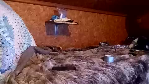 bigmike5081 online show from 18, 12, 2025