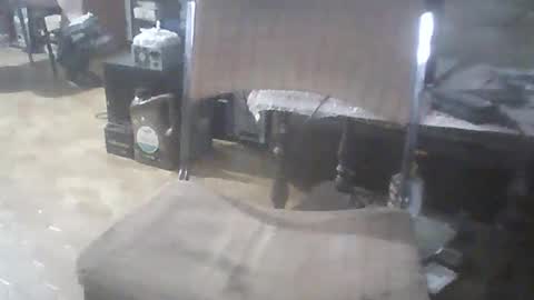 bigpenix online show from 15, 2, 2026