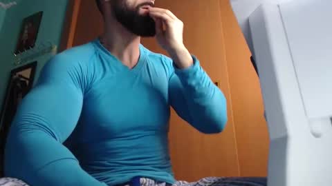 BigStallion online show from 6, 11, 2025