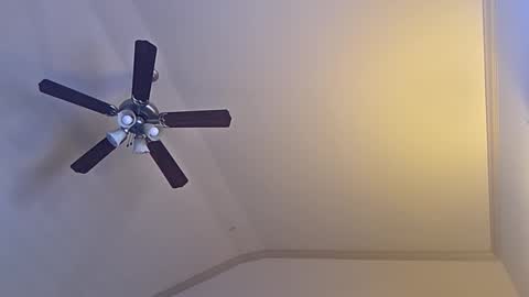 Snapshot of bigswoletroll chatting on 12, 3, 2026 bigswoletroll online show from 12, 3, 2026