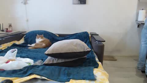 BigTwinsOmg online show from 20, 2, 2026