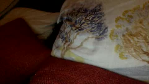 Snapshot of bigvic25cm chatting on 1, 3, 2025 bigvic25cm online show from 1, 3, 2025