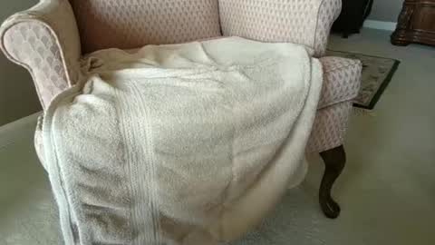 Snapshot of billernest99 chatting on 1, 10, 2025 billernest99 online show from 1, 10, 2025