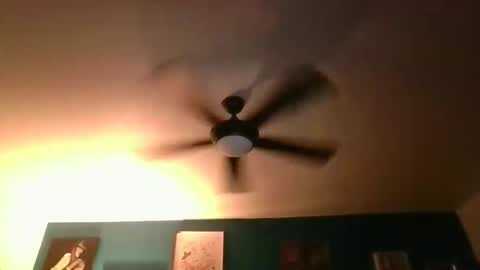 Snapshot of billjames55 chatting on 14, 3, 2026 billjames55 online show from 14, 3, 2026