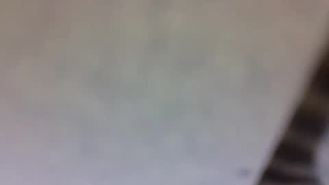 Snapshot of billmenow141 chatting on 10, 3, 2025 billmenow141 online show from 10, 3, 2025