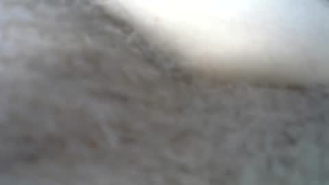 Snapshot of billpark20 chatting on 22, 5, 2026 billpark20 online show from 22, 5, 2026