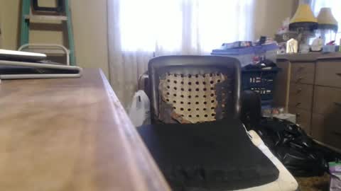 Snapshot of bimbttm chatting on 20, 12, 2024 Bimbttm online show from 20, 12, 2024