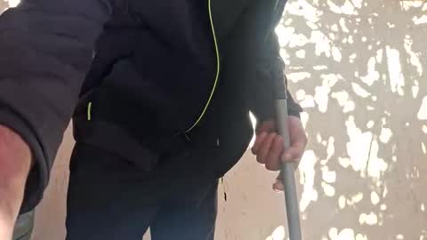 bisexdadd online show from 29, 10, 2025