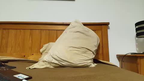 bisexualversat1 online show from 21, 12, 2025