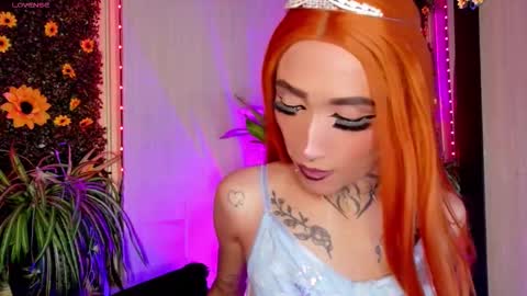  ..  .. online show from 28, 10, 2025