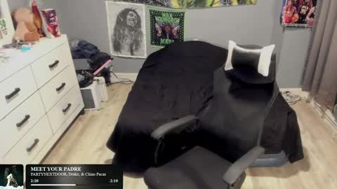 Plant Base Streamers From Pennsylvania online show from 16, 11, 2025