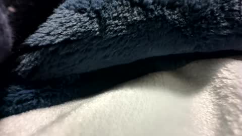 Snapshot of blackhammer8787 chatting on 8, 12, 2024 blackhammer8787 online show from 8, 12, 2024