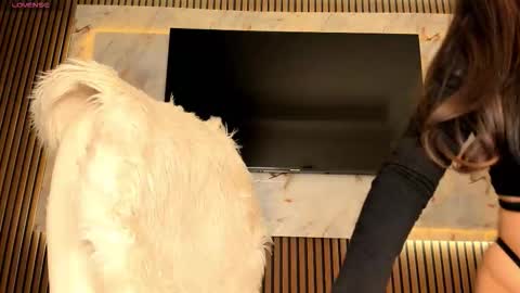 Karina online show from 11, 11, 2025