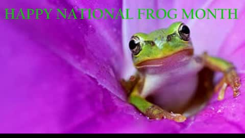 Snapshot of blacksirenqueen chatting on 1, 4, 2026 Queen Siren online show from 1, 4, 2026