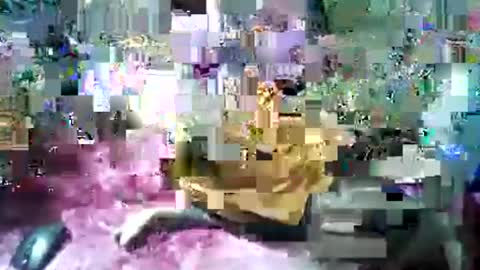 blackzilian_5 online show from 7, 8, 2026