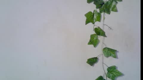 Snapshot of blaq_melanin chatting on 8, 3, 2026 nikky00 online show from 8, 3, 2026