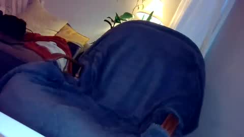 Snapshot of blastoise234 chatting on 28, 12, 2024 DickRex21 online show from 28, 12, 2024