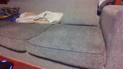 blaw_1321 online show from 16, 4, 2026