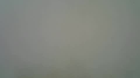 Black  brown online show from 11, 11, 2025