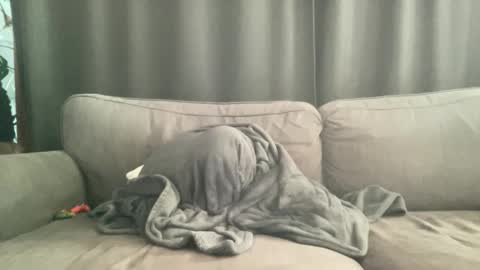 Snapshot of bllyidol chatting on 6, 11, 2025 BlIdoL online show from 6, 11, 2025