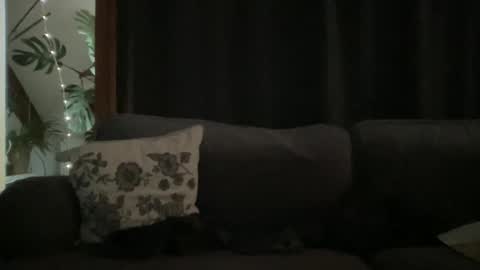 Snapshot of bllyidol chatting on 18, 12, 2025 BlIdoL online show from 18, 12, 2025