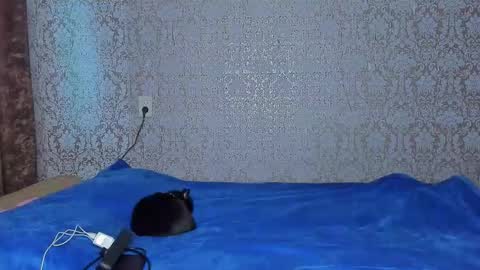 bloemetjes online show from 24, 10, 2025